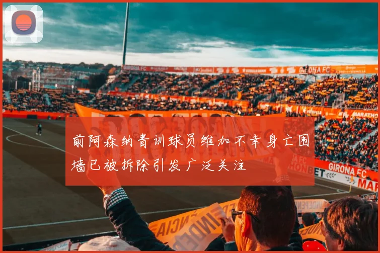 前阿森纳青训球员维加不幸身亡围墙已被拆除引发广泛关注