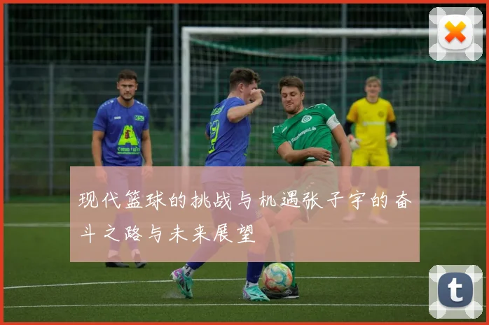 现代篮球的挑战与机遇张子宇的奋斗之路与未来展望