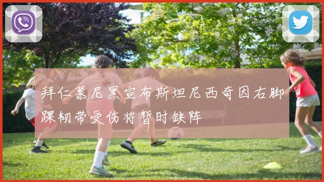 拜仁慕尼黑宣布斯坦尼西奇因右脚踝韧带受伤将暂时缺阵